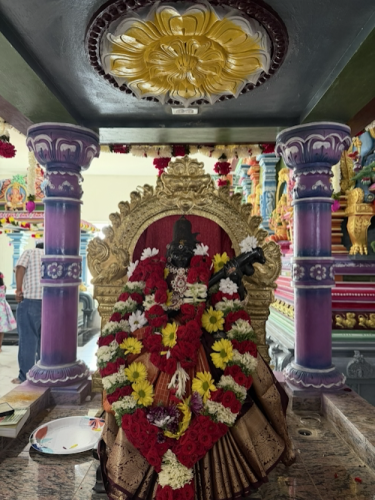 Saraswathi-small